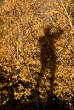 20071103_160418 Io nel tramonto autunnale.jpg